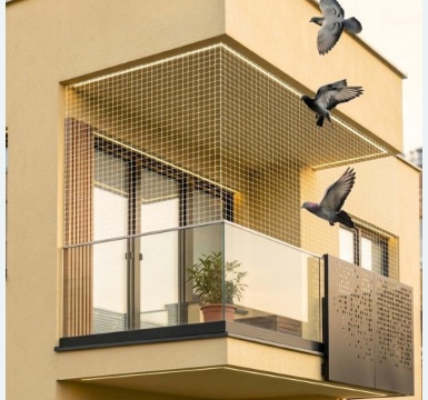 Pigeon and bird net installation