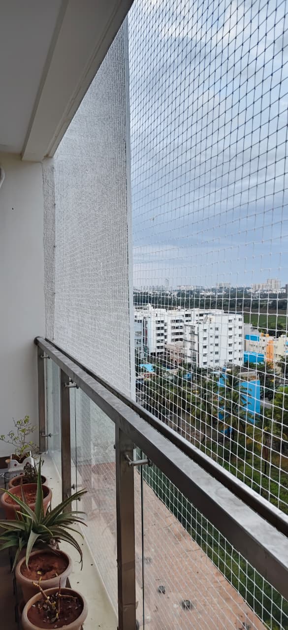 Bird Net Installation