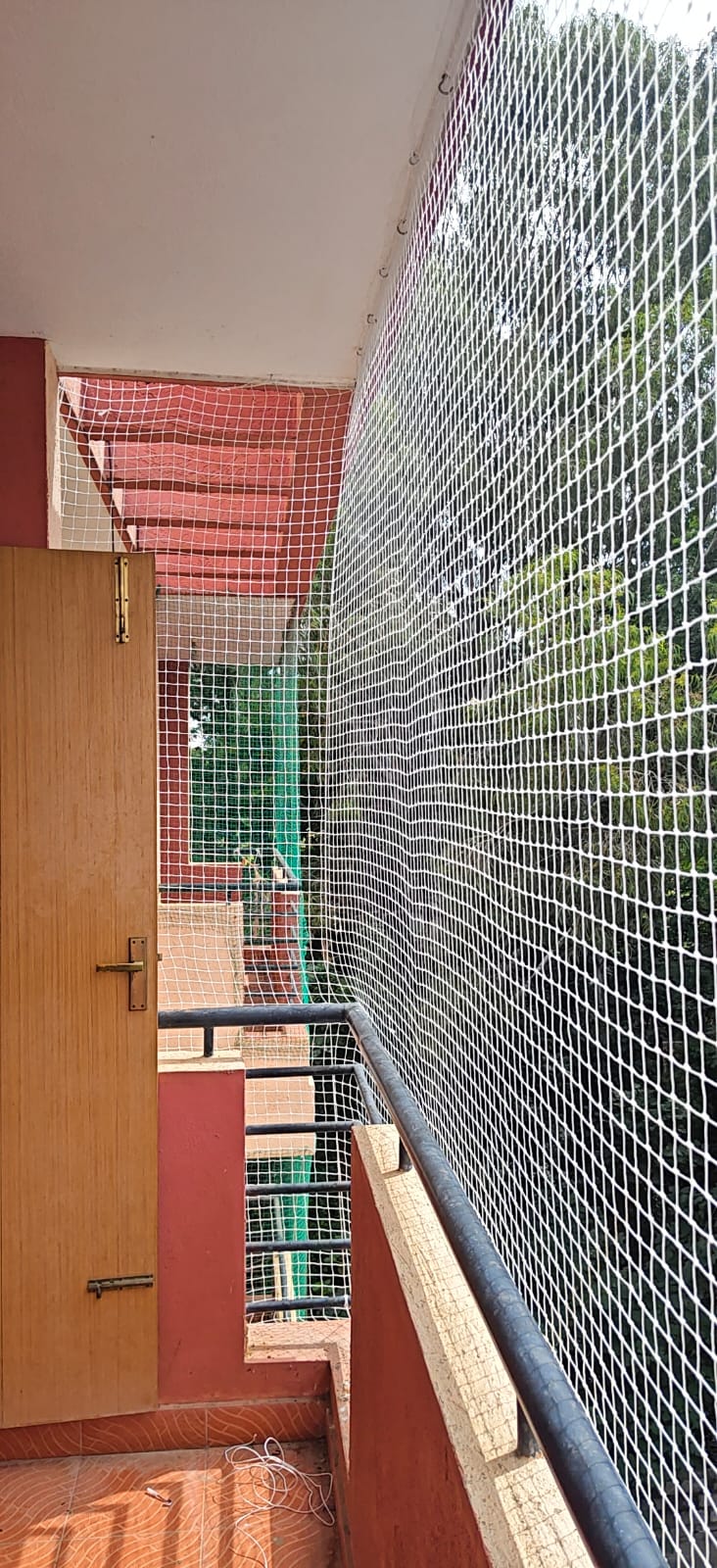 Bird Safety Net