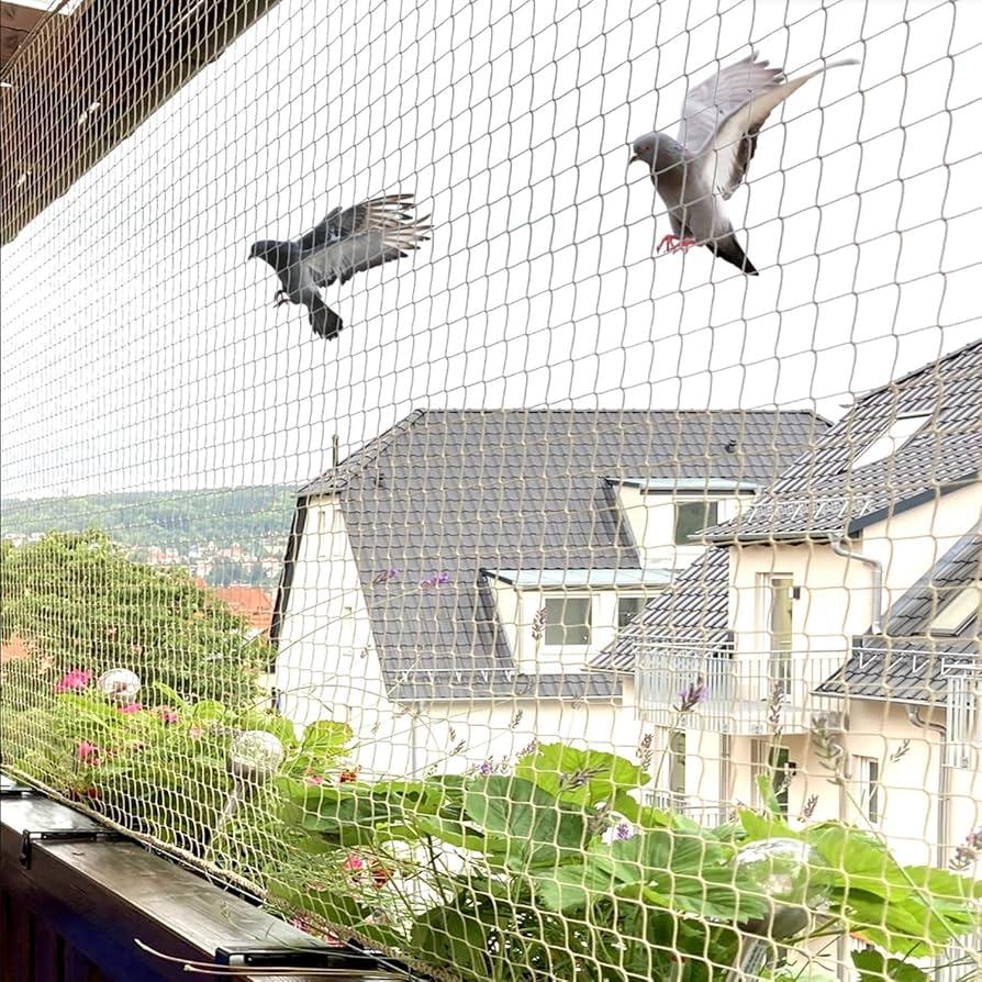 Pigeon and bird net installation