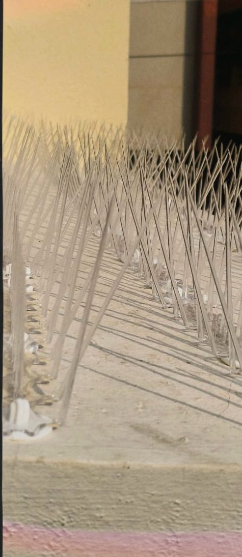 Polycarbonate Bird Spikes